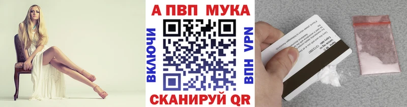Альфа ПВП СК  Шенкурск 