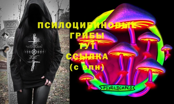меф Медвежьегорск