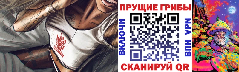 Галлюциногенные грибы Cubensis  закладка  Шенкурск 